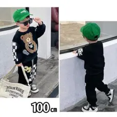 Item thumbnail for item 918597f4-cc1f-4afe-ba33-d6b519dc3538