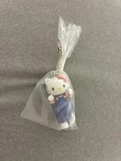 サンリオキャラクターズ　ミニチュアチャーム　ハローキティ