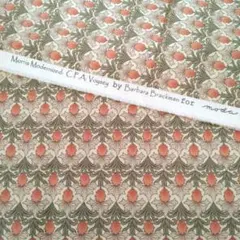 (811)生地·モダ/バーバラブラックマン·1m