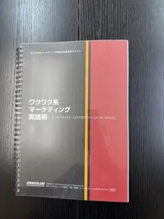 ワクワク系マーケティング実践術　綺麗め
