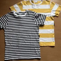 agnès b. homme ボーダーTシャツ 2枚セット サイズ1のサムネイル