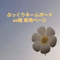 ae様 専用