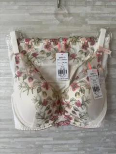 C75L」トリンプ 夢みるブラ DeepV フレーバーウォーター ブラショーツ