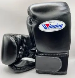 2025年最新】ウイニング グローブ 8オンスの人気アイテム - メルカリ