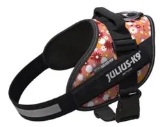 Item thumbnail for item 9b319e9e-0e20-450c-883e-4b56d3a2e87a