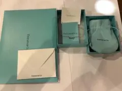 Tiffany & Co. 無限大モチーフ ネックレス