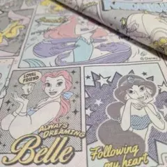 ✿【ディズニー】アメコミ プリンセス<シーチング> 生地 はぎれ[パステル系]