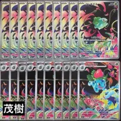 フシギダネar フシギソウar 各10枚セット