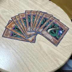 エレクトリックスネーク　2期　ノーマル　12枚　①