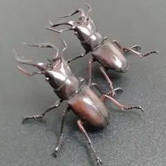 ユージン 原色日本昆虫図鑑 Ⅰ 「ノコギリクワガタ」2体セット