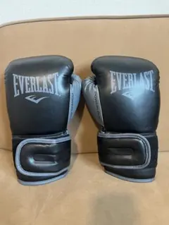 EVERLAST エバーラスト ボクシンググローブ 14oz PROTEX 白 - メルカリ