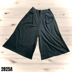 Denilita デニリータ 黒 ワイドパンツ フリーサイズ 2825