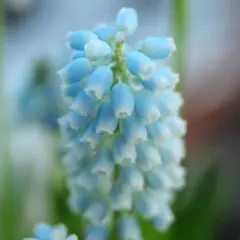 まこまこ様 リクエスト 3点 まとめ商品