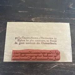 poec様 リクエスト 2点 まとめ商品