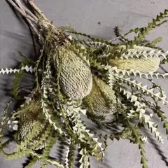 PETAL.様 リクエスト 2点 まとめ商品