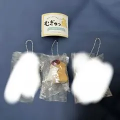 むぎゅっ鳥/白文鳥