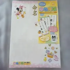 Disney Baby 命名用紙 A4 3枚入のサムネイル