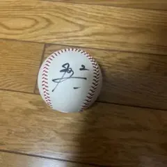 2025年最新】投げ込みサインボールの人気アイテム - メルカリ