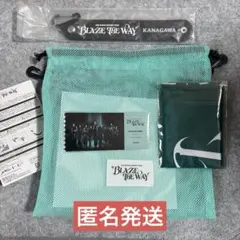 ☆レア品☆&TEAM BLAZE THE WAY 2026 プレミアムシート限定 - メルカリ