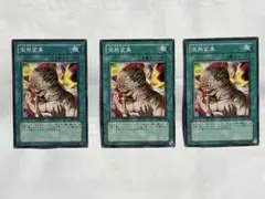 突然変異　メタモルフォーゼ　3枚