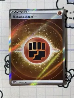 チャンピオン様 リクエスト 2点 まとめ商品＋プライムキャッチャー1枚