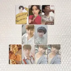SEVENTEEN 디노 트레카