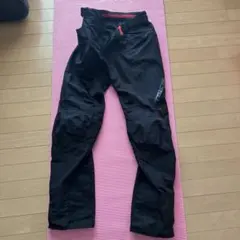 アルパインスターズ メッシュパンツ Stricker Air Pants L - メルカリ