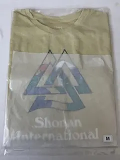 THE NORTH FACE 湘南国際マラソン ノースリーブ メンズM