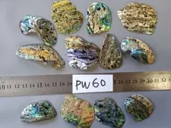 Item thumbnail for item f89b2846-618f-43bb-8835-26ccacdf5868