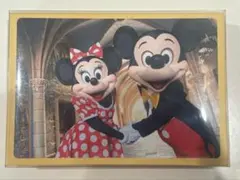 【入手困難】東京ディズニーランド 実写 ポストカードセット