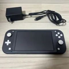 Switch light グレー　箱無し　アダプター付き