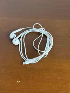 Apple純正 EarPods (Lightningコネクタ) 有線イヤホン