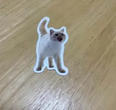 猫 ステッカー 約7cm x 5cm