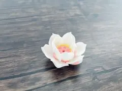 Item thumbnail for item 328844bb-3fbc-4d01-bff5-1cab5f64ce00