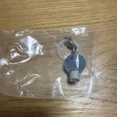 チ*ト様 JOCHUM めじるしアクセサリー マイクン