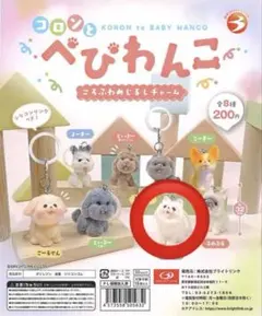コロンとべびわんこ カプセルトイ ポメラニアン