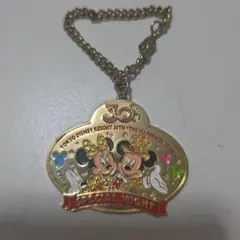 東京ディズニーリゾート 30周年記念 チャーム キーホルダー