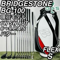ブリヂストン BG-100 現行モデル 11本セット メンズゴルフ 初心者 入門