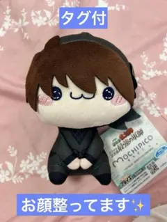 ☆本日限りセール‼️☆忍たま乱太郎 土井半助 もちぴこ