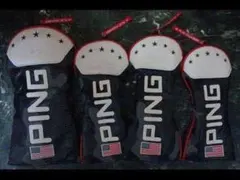 Item thumbnail for item a72d4af6-937a-4756-ad77-941c8ec2d1b9