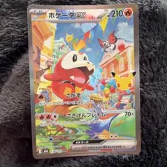 ポケモンカード ホゲータex SAR