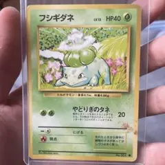 Bulbasaur ポケモンカード フシギダネ 1st英語版 旧裏 シャドーレス