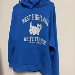 dog depto美しいブルーのＷテリアのサムネイル