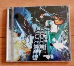サザンオールスターズ Young Love CD
