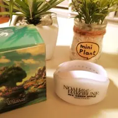 Mrs. GREEN APPLE NOAH no HAKOBUNE ペンライト★