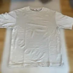 Item thumbnail for item 80c4c391-9893-485a-ba8d-8764b343f1a4