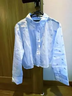 ノスタルジア花柄刺繍入り水色シアーシャツ