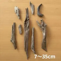 Item thumbnail for item 3f39cb3a-e29e-42ab-99c2-7e9bc4ada63e