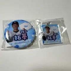 埼玉西武ライオンズ 西川愛也 - メルカリ
