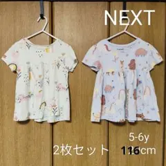 NEXT 2枚セット Tシャツ 5-6y116cm